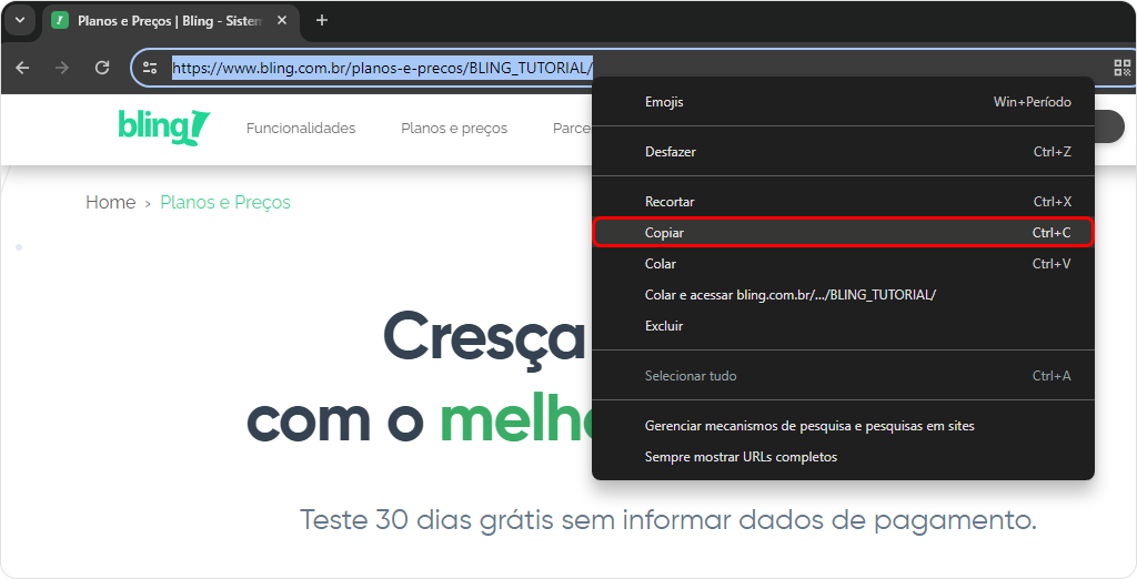 copiar_blg.png