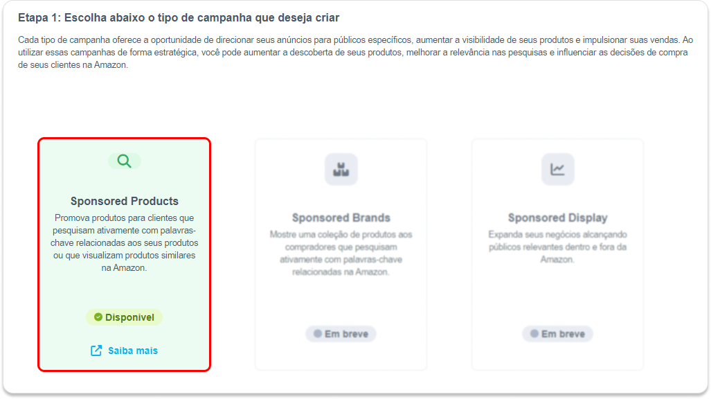 Etapa 1 - gestão de campanha.png