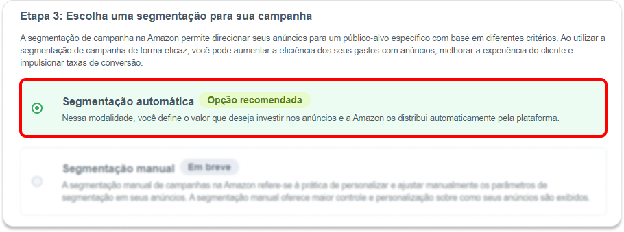 Etapa 3 - Escolha uma segmentação.png