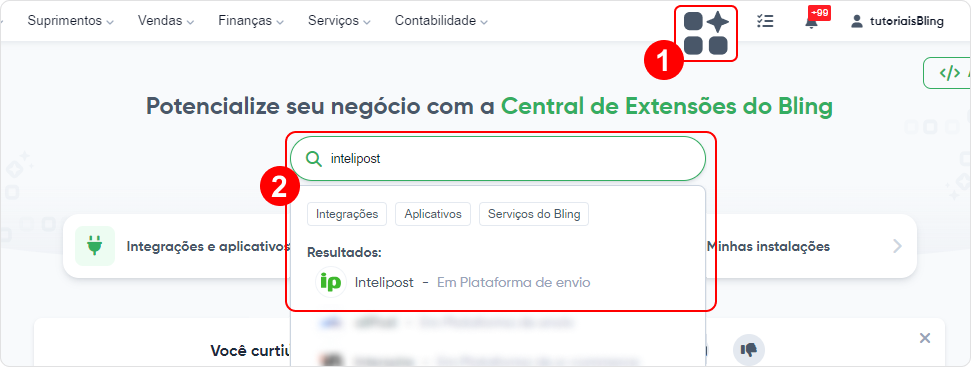 ext-intelipost.png
