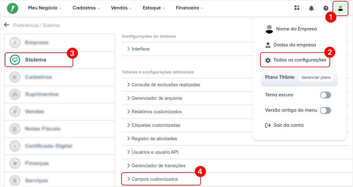 configuração-sistema-campos customizados.png