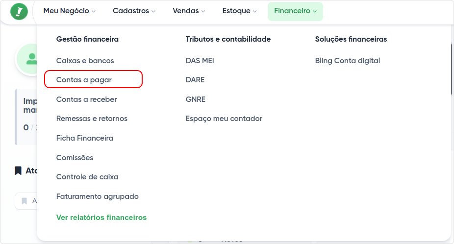 financeiro-contas a pagar.png