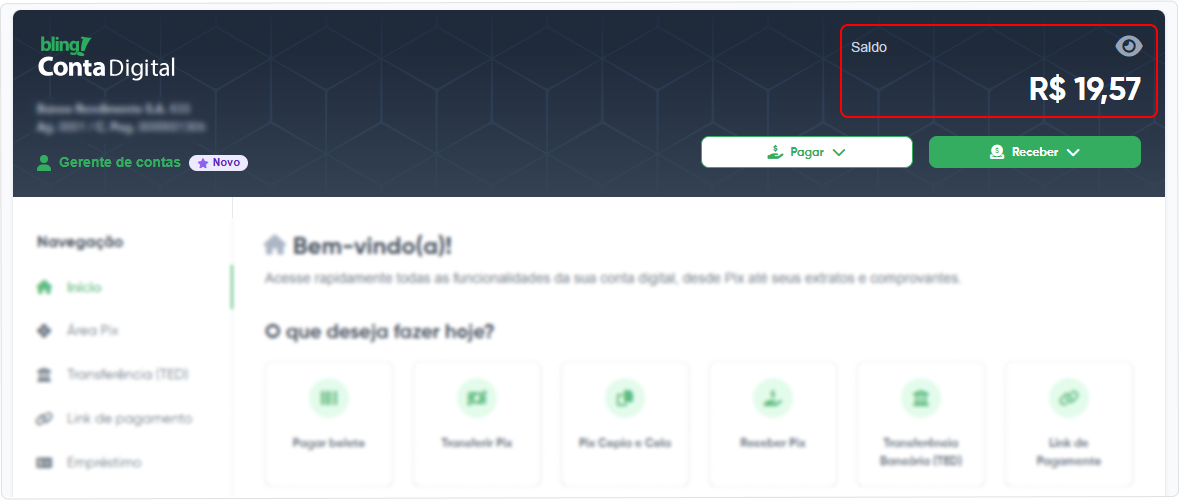 saldo-home-banking.png
