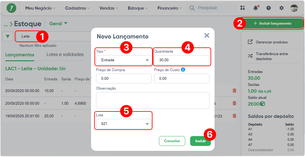 lote-produto-lançamento-estoque.png