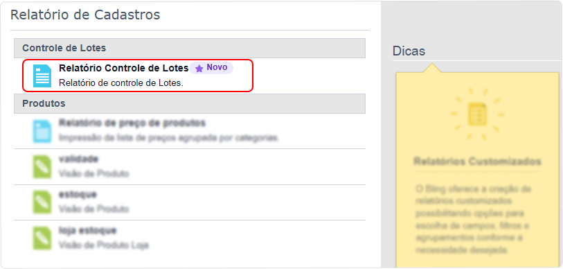 relatório-lote.png