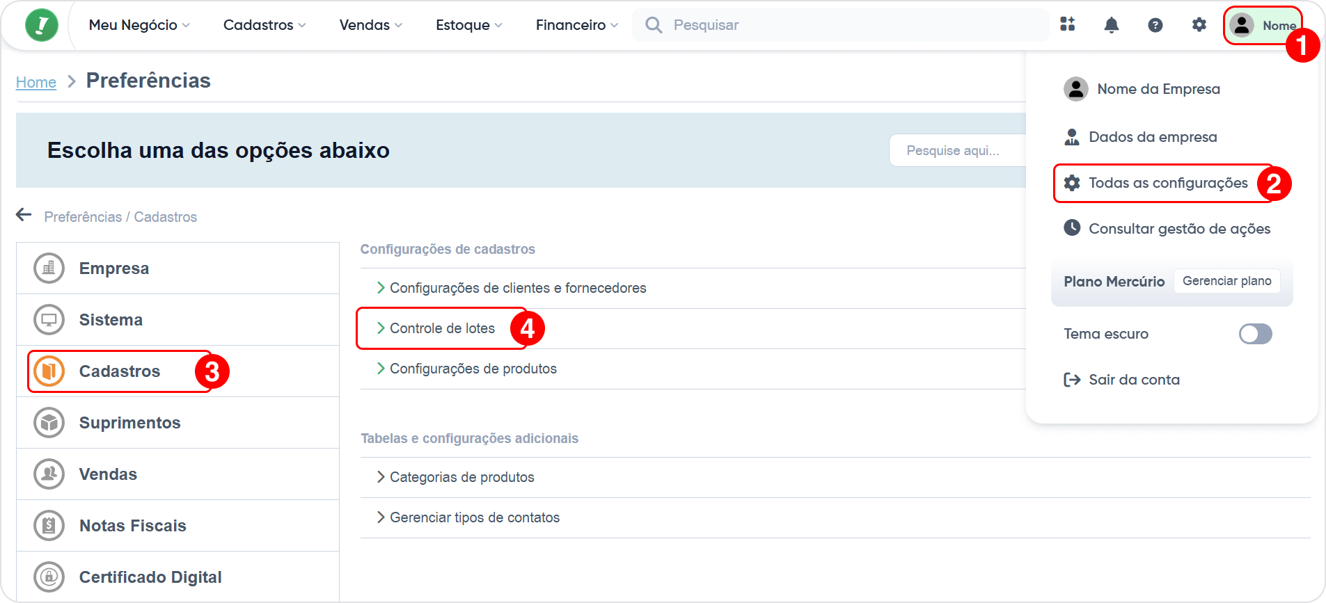 controle_lotes_1 (1).png