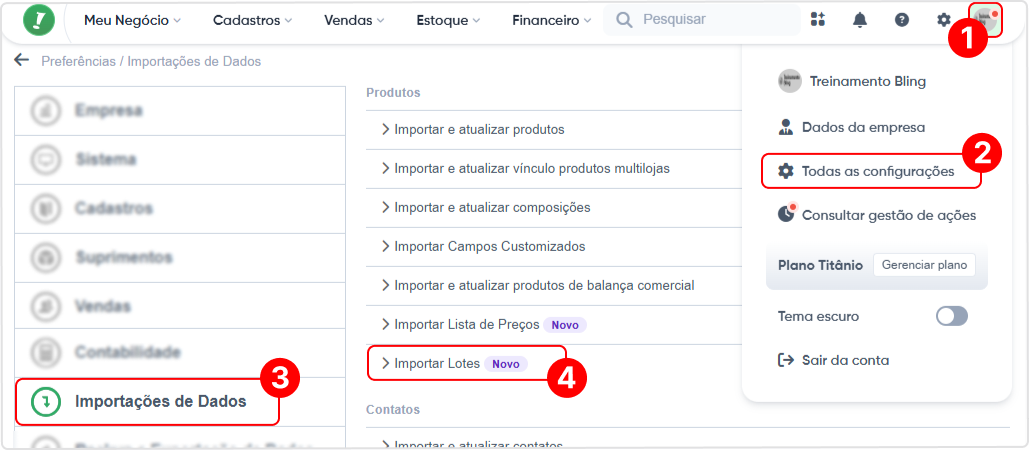 menu-importar-lote.png