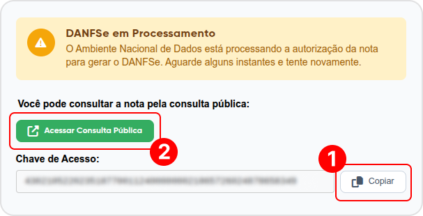 exemplo-danfse.png