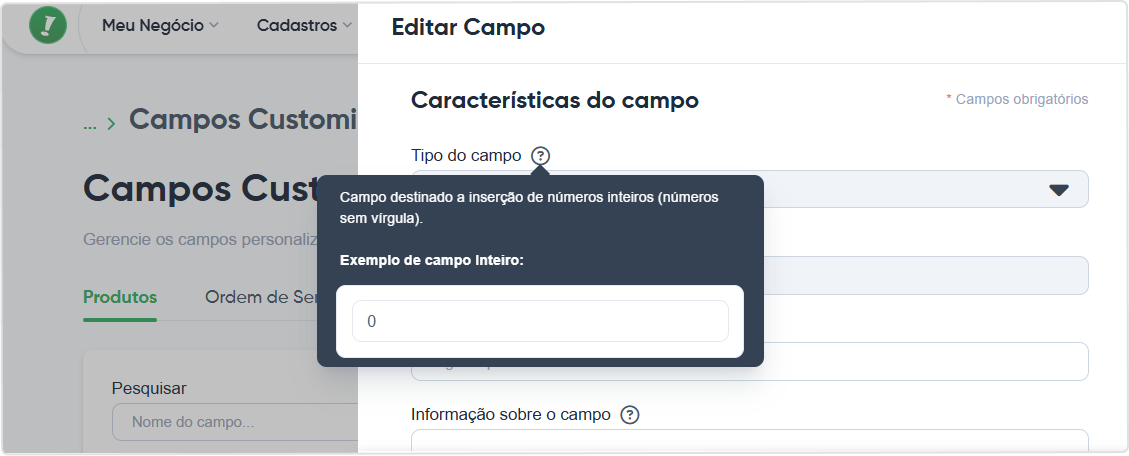 dica-tipo-campo-inteiro.png