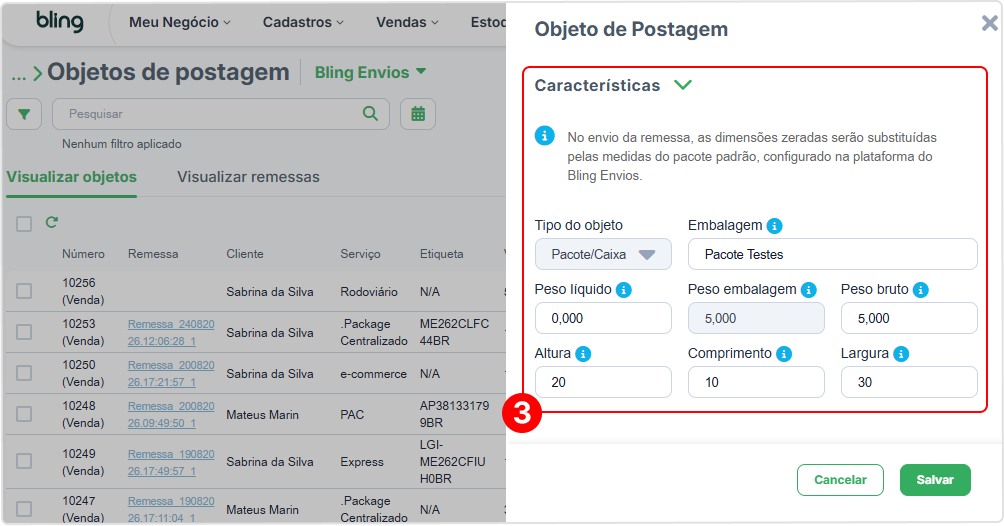 informações-objeto-bling-envios (1).png