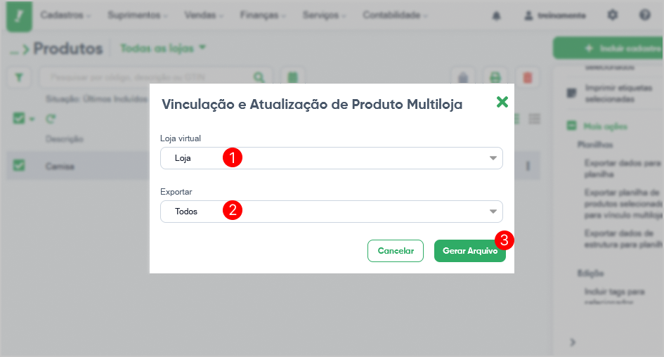 Importar fornecedores vinculados aos produtos – Bling!